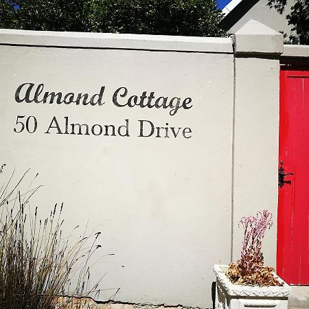 Almond Cottage Bed & Breakfast 西萨默塞特 外观 照片