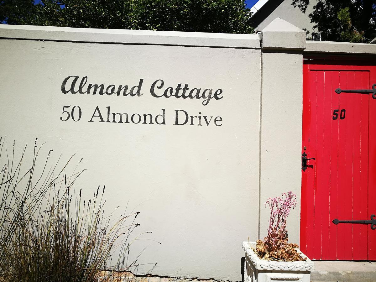 Almond Cottage Bed & Breakfast 西萨默塞特 外观 照片